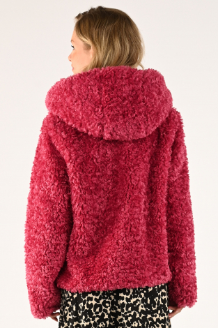 Giacomo 6512773 Roze