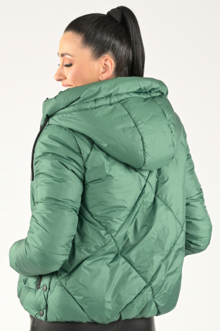 Geisha 38565-21 Groen