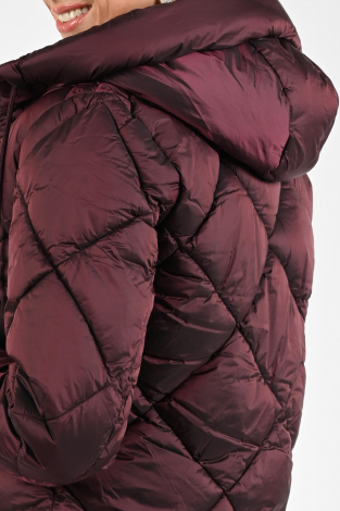Geisha 58528-21 Paars