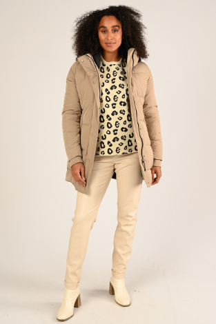 Giacomo 6626962 Bruin