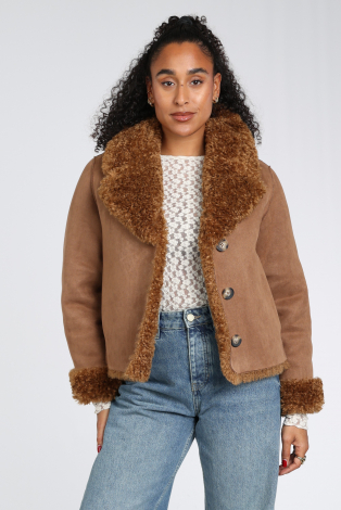 Giacomo 6599470 Bruin