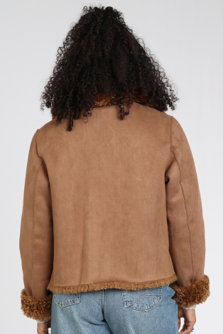 Giacomo 6599470 Bruin