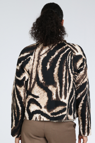 Fuchs en Schmitt 70161-1734 Bruin