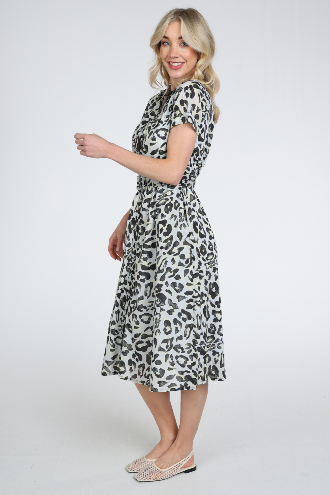 Catnoir 3352-2 Jurk korte mouw Blauw