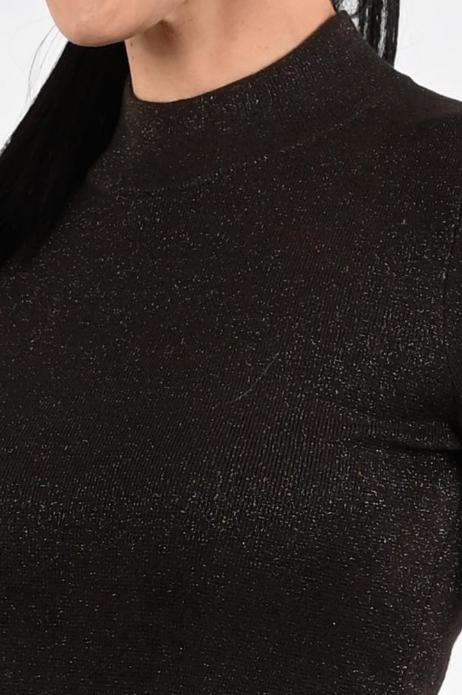 Emotions 225104 Trui turtle neck Bruin