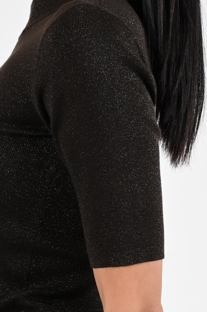 Emotions 225104 Trui turtle neck Bruin