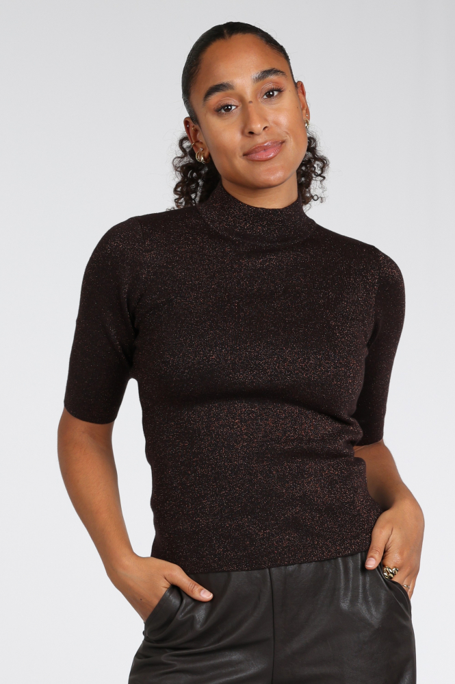 Emotions 226080 Trui turtle neck Bruin