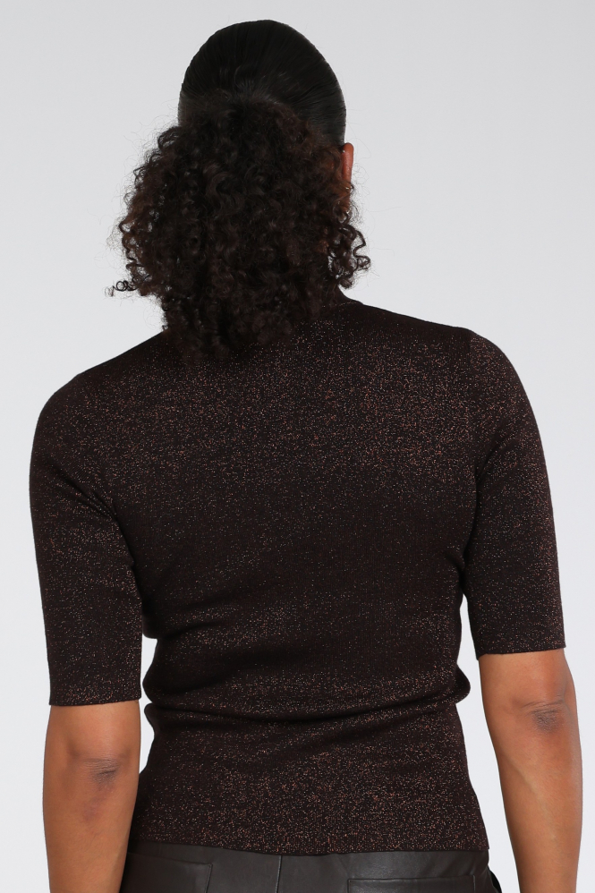 Emotions 226080 Trui turtle neck Bruin
