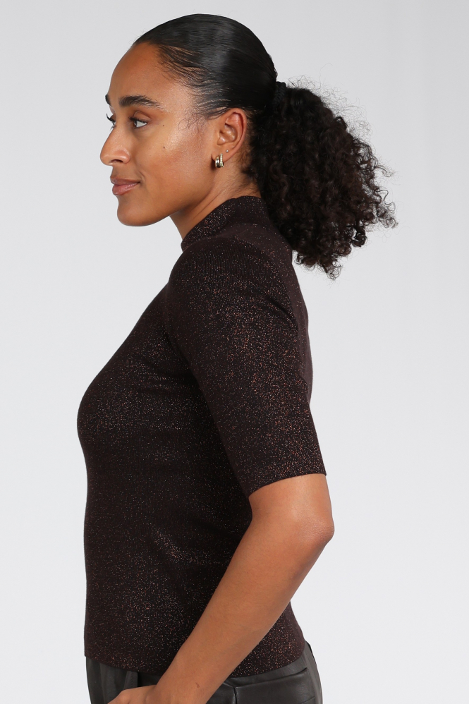 Emotions 226080 Trui turtle neck Bruin