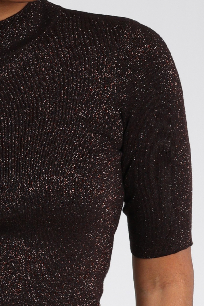 Emotions 226080 Trui turtle neck Bruin