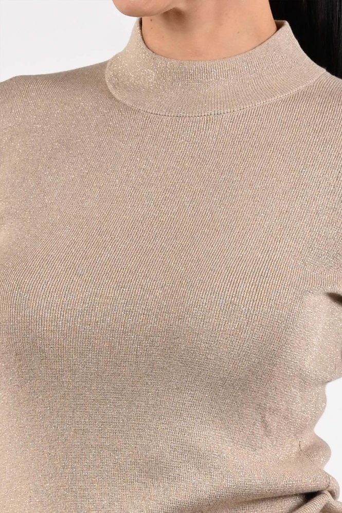 Emotions 225104 Trui turtle neck Bruin