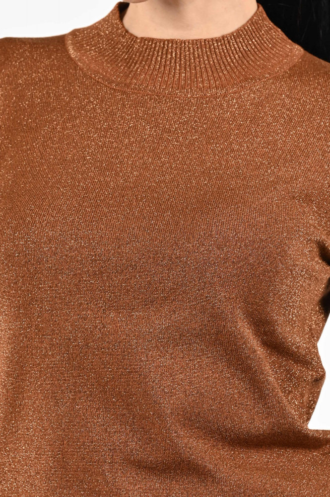 Geisha 54531-14 Trui turtle neck Bruin