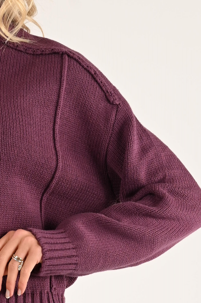 Geisha 44806-10 Trui turtle neck Paars