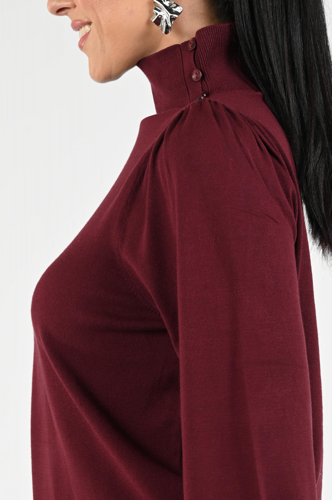 Fabienne Chapot CLTPUL14AW256602 Trui turtle neck Rood