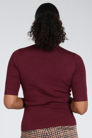 Emotions 226003 Rood