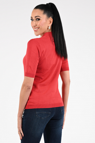 Roberto sarto 531255 Rood