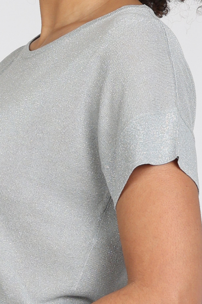 Emotions 126070 Pull korte mouw Zilver