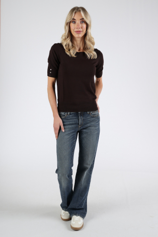 Emotions 126001 Bruin