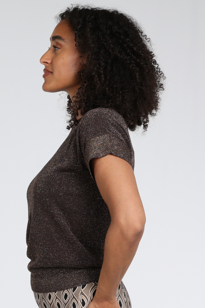 Emotions 126070 Pull korte mouw Bruin