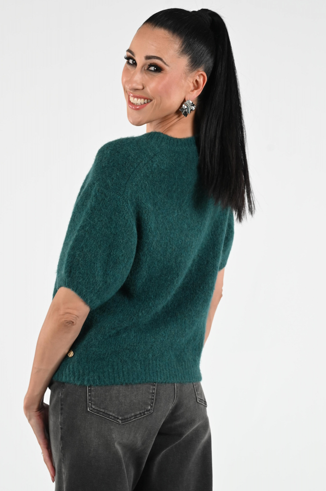 Fabienne Chapot CLTPUL02AW254620 Pull korte mouw Groen