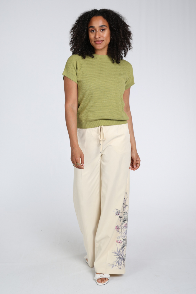 Emotions 126108 Pull korte mouw Groen