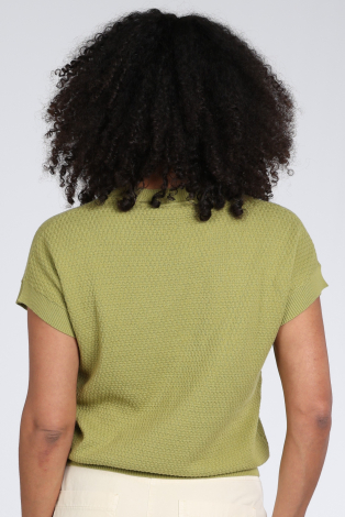 Emotions 126108 Groen