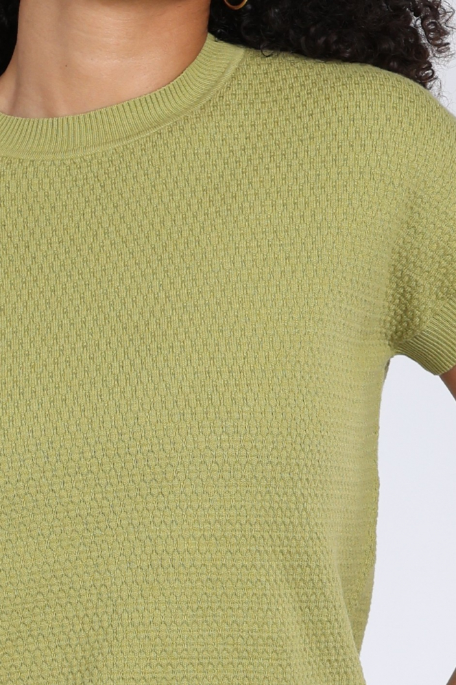 Emotions 126108 Pull korte mouw Groen