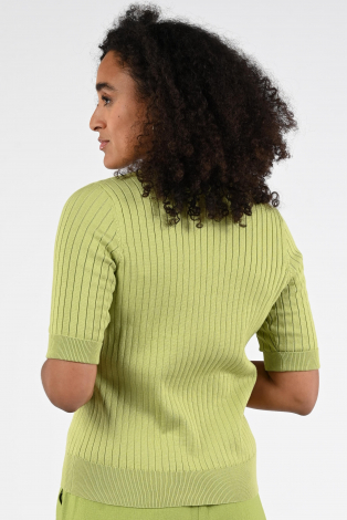 Geisha 64064-14 Groen