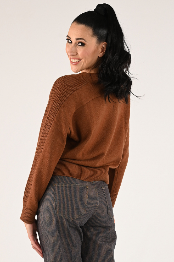 Emotions 235039 Trui Bruin