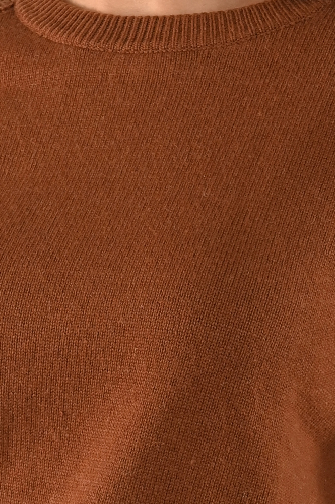 Emotions 235039 Trui Bruin