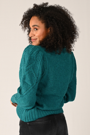 Fabienne Chapot CLT-208-PUL-AW23 Blauw