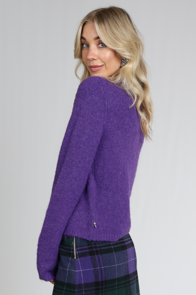 Fabienne Chapot CLTPUL62AW268715 Trui Paars