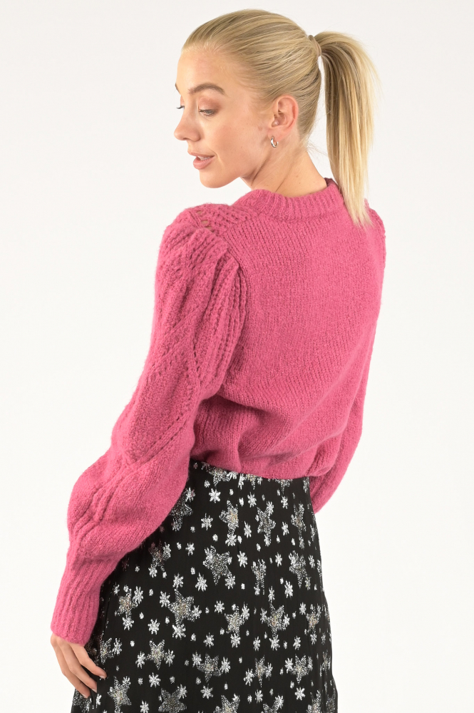 Fabienne Chapot CLT-207-PUL-AW23 Trui Roze