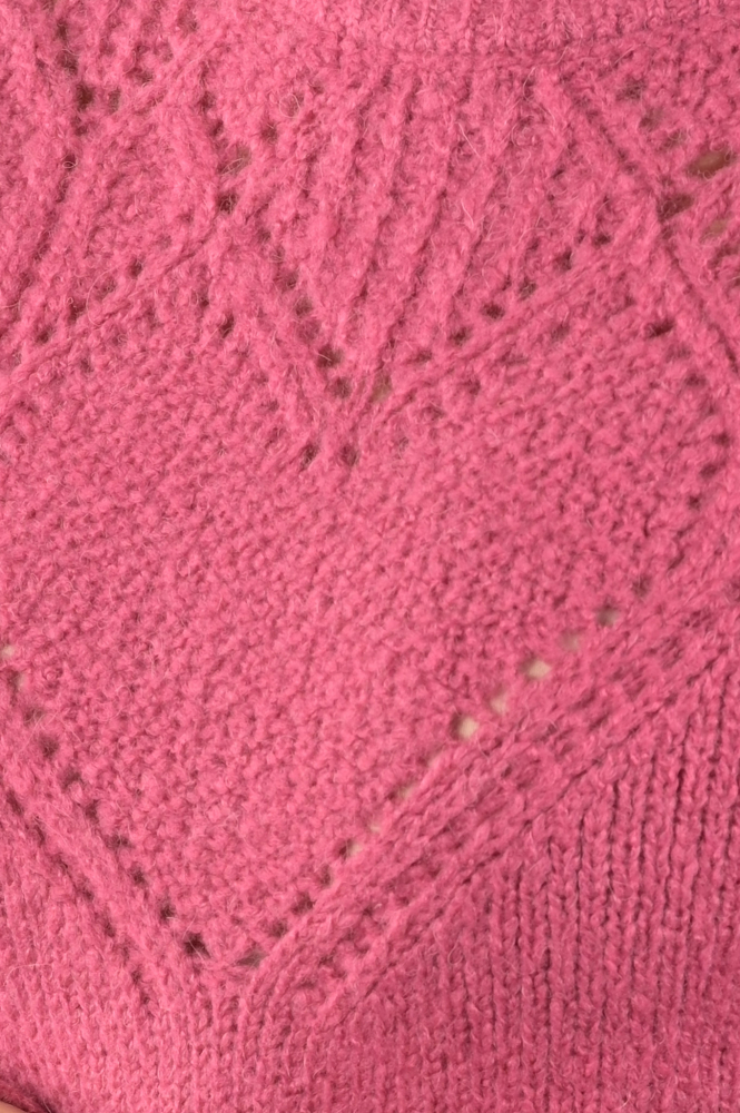 Fabienne Chapot CLT-207-PUL-AW23 Trui Roze