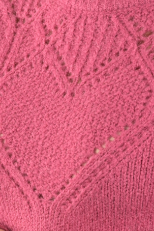 Fabienne Chapot CLT-207-PUL-AW23 Roze