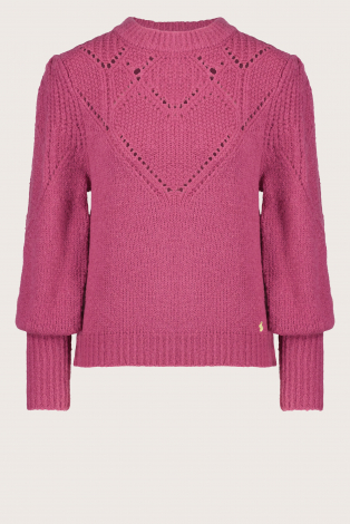 Fabienne Chapot CLT-207-PUL-AW23 Roze