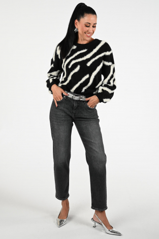 Fabienne Chapot CLTPUL20AW259001 Zwart