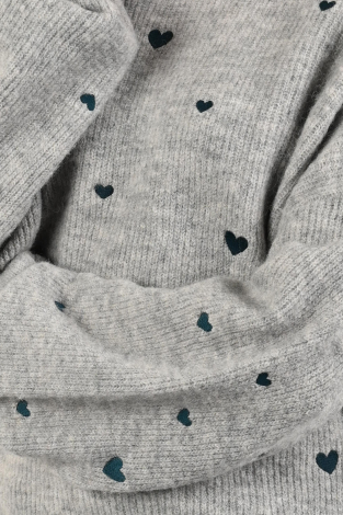 Fabienne Chapot CLTPUL23AW259516 Grijs