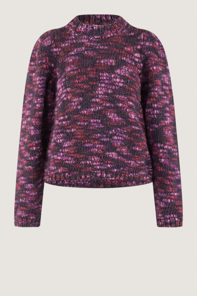 Jane Lushka KN 30107766 Trui Paars