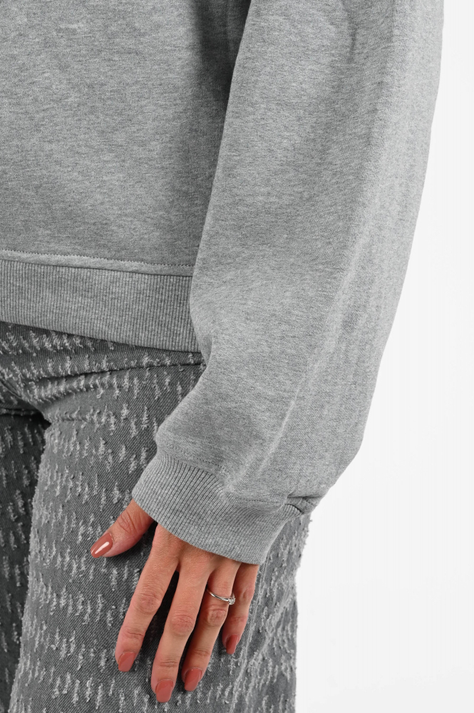 Fabienne Chapot CLTSWE09AW259525 Sweater Grijs