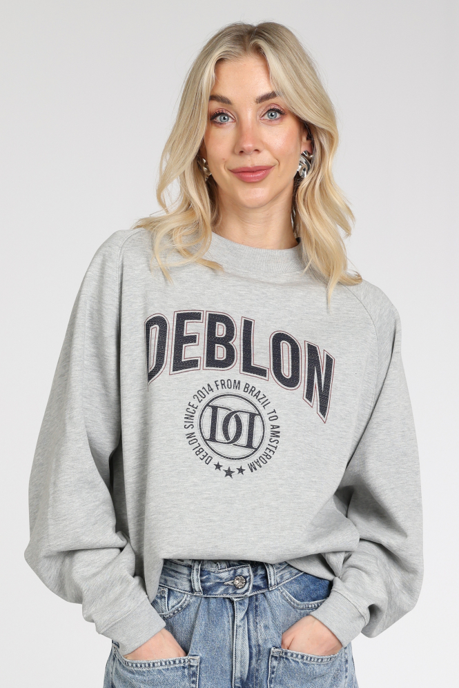 Deblon vive sweater Sweater Grijs