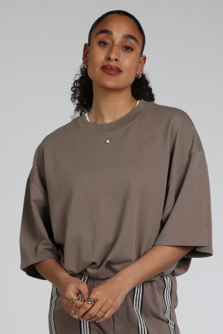 10 Days 20-813-6202 Bruin