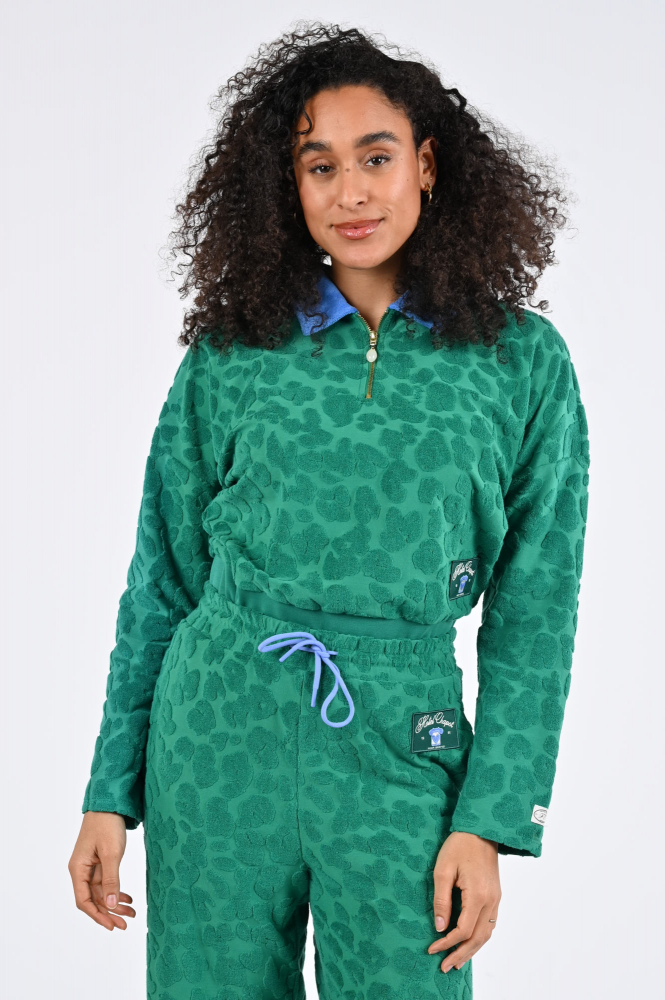 Fabienne Chapot CLTSWE13SS264324 Sweater Groen
