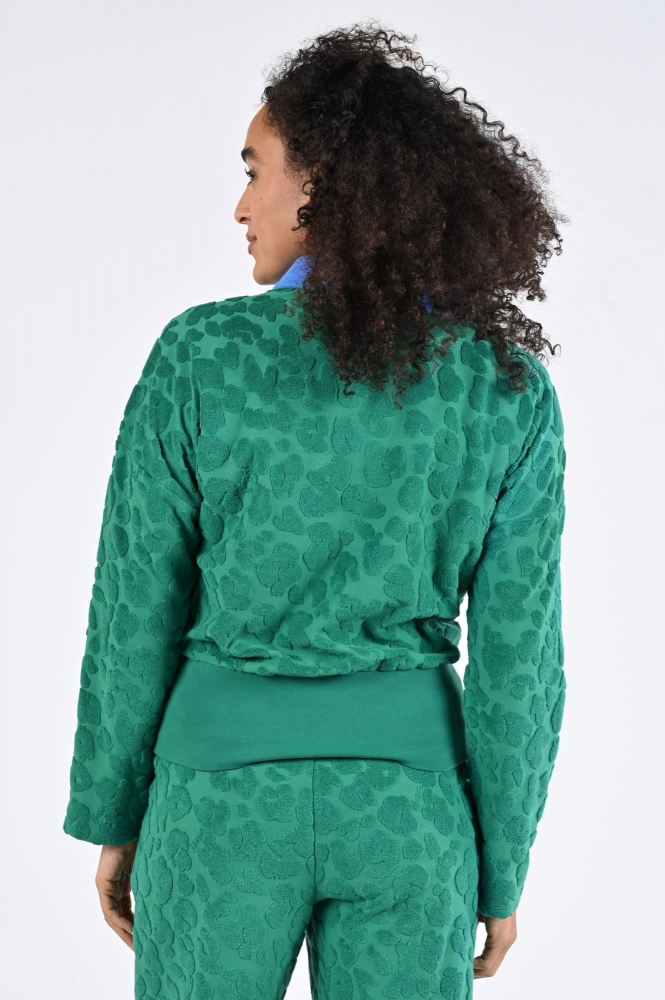 Fabienne Chapot CLTSWE13SS264324 Sweater Groen