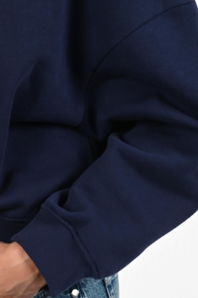Fabienne Chapot CLTSWE12AW253624 Sweater Blauw