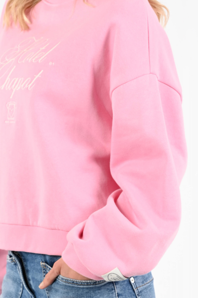 Fabienne Chapot CLTSWE14SS267028 Sweater Roze