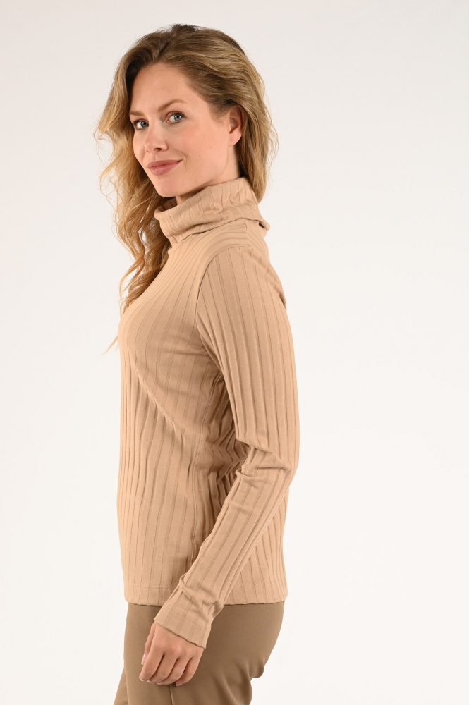 Zaida 296351 Coltrui Bruin