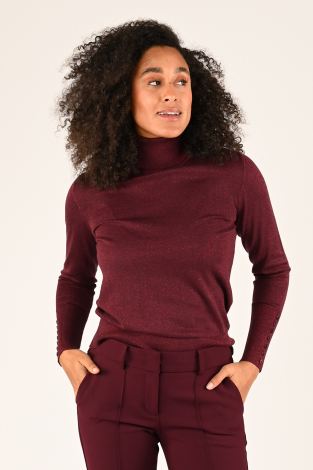 Emotions 224105 Rood