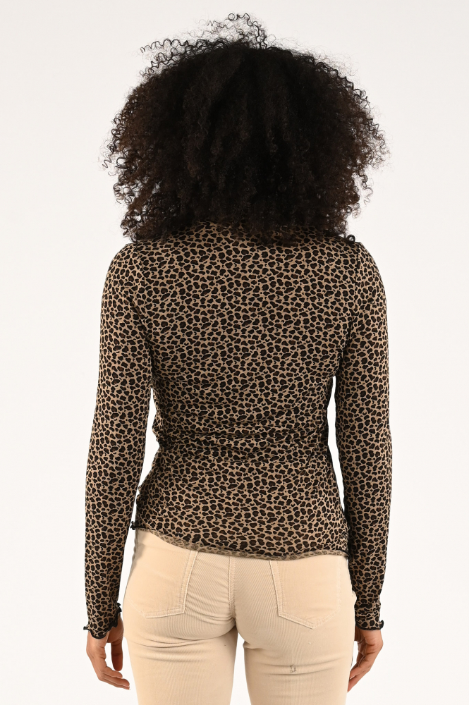 Zaida 296652 Coltrui Bruin
