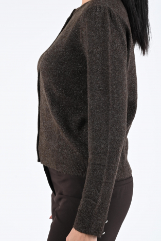 Emotions 225114L Bruin